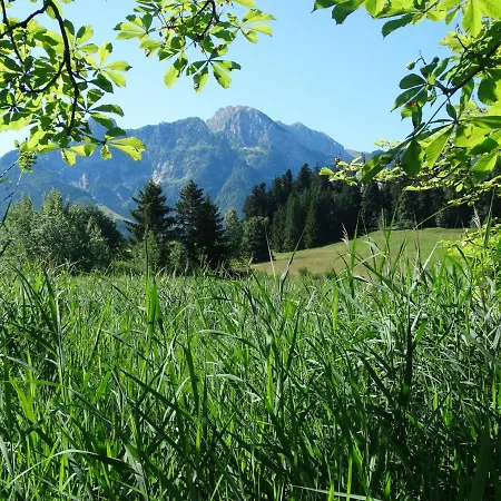 Apartament Andexlinger